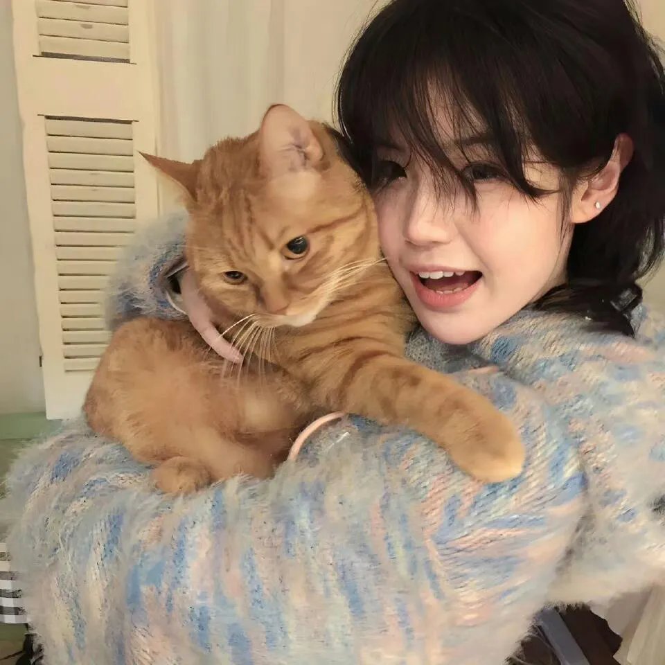 剑网3·侠肝义胆沈剑心第二季